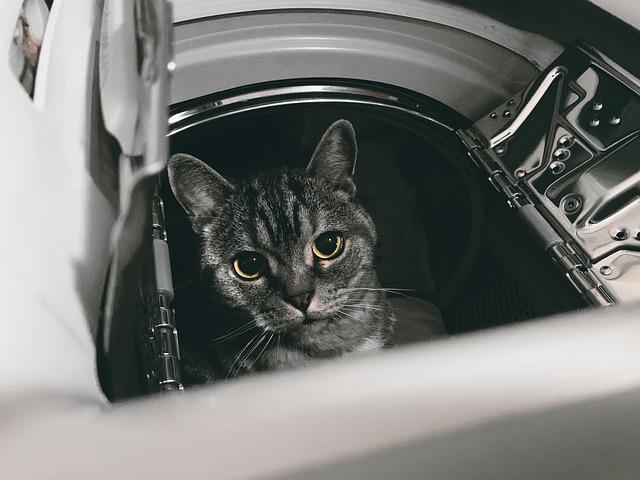 En omfattende guide til den bedste frontbetjente vaskemaskine og tørretumbler i 2022